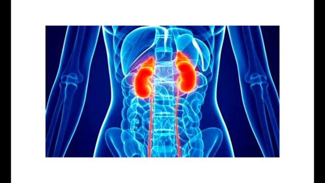 Common foods that are actually poisonous