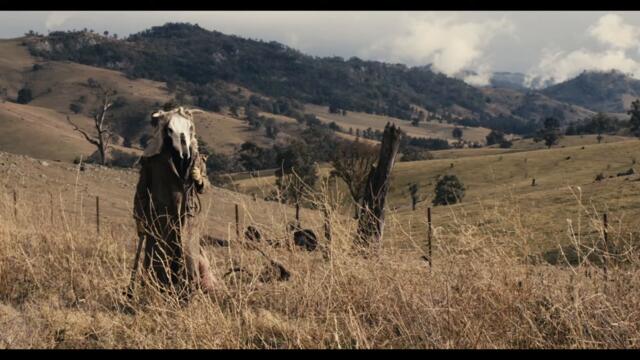 HEXAFLEX - Silver Eyes