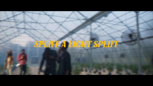 Yaadcore x Richie Spice - Nyquill (Spliff A Light Spliff) (Remix) - Official Music Video