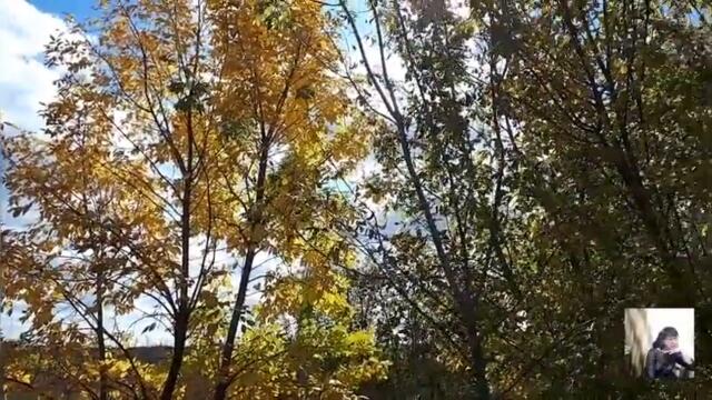Золотая осень.Красивые видео и фото про осень.