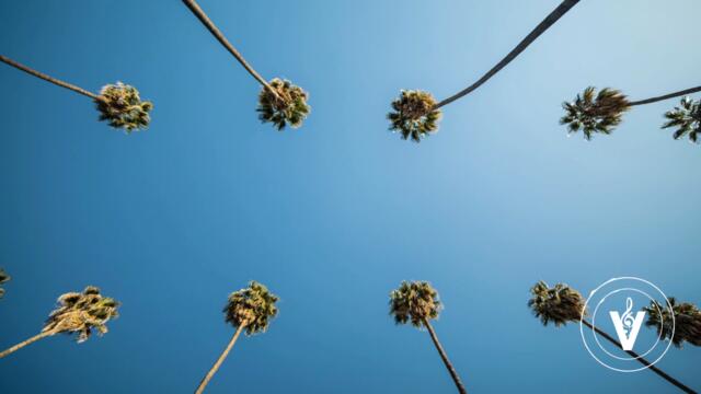 DJ Grumble - 50ReasonsJB