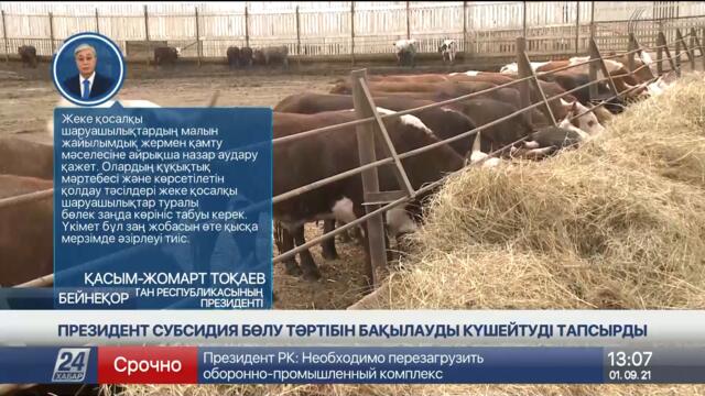 Президент субсидия бөлу тәртібін бақылауды күшейтуді тапсырды