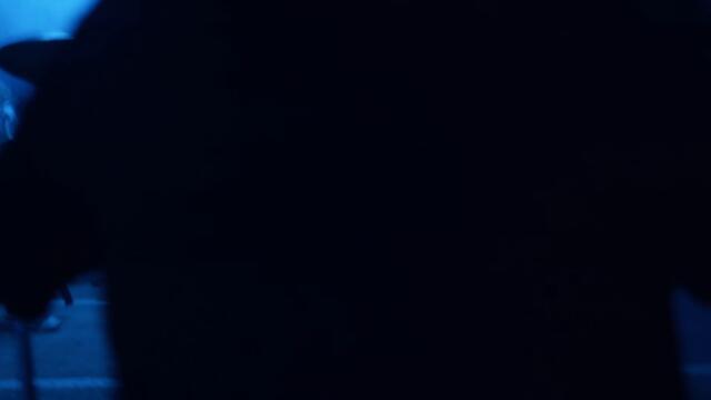 Vulvodynia - Banquet of Enigmatic Horrors Pt. 2 Agony [Ft. Oliver Rae Aleron] (Official Video)