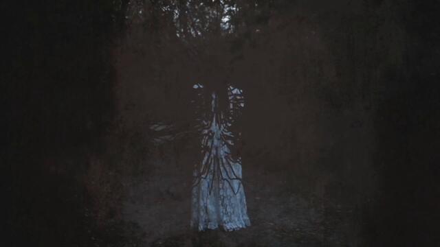 Ray Wilson | Amelia (official video)