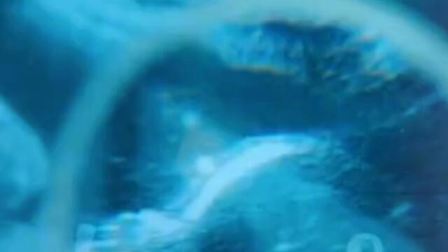 ~Постучись в мою дверь~ Энгин профессор по семейным делам😅