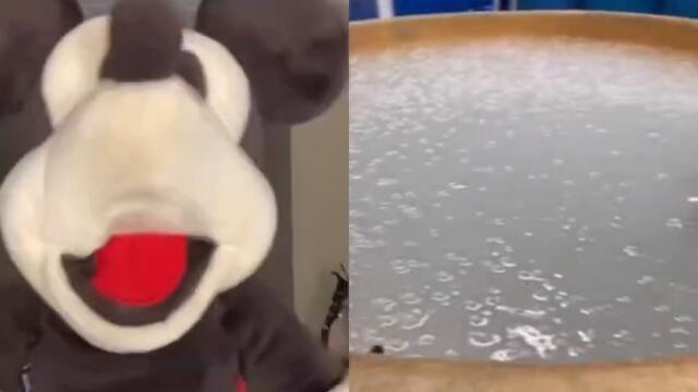 Welcome to WHERE?!? #shorts