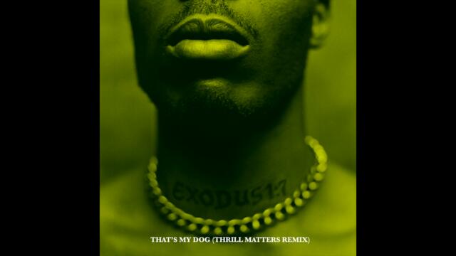 DMX - That's My Dog (feat. The LOX & Swizz Beatz) (Thrill Matters Remix)