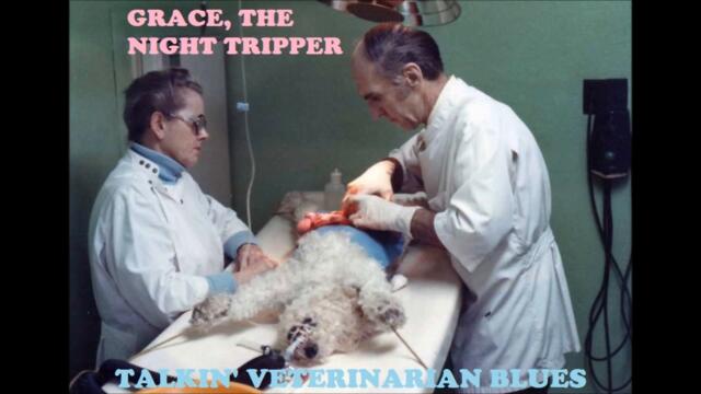 Talkin’ Veterinarian Blues (Corb Lund Cover)