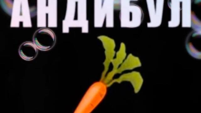 Анди бул морков кючек 2021