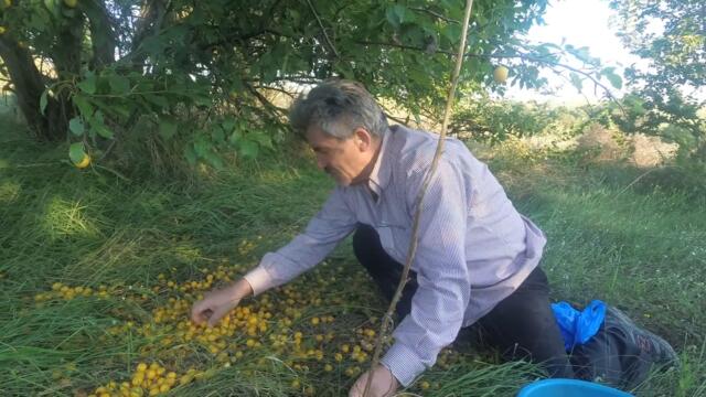 САМОЕ ПОЛЕЗНОЕ ВАРЕНЬЕ, 2 рецепта - Вирусы в панике разбегаются!