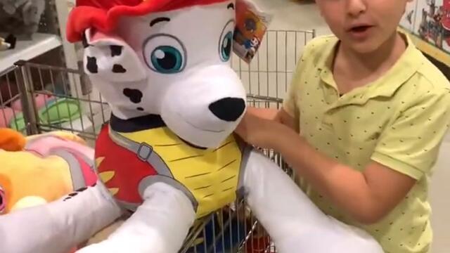 Paw Patrol oyuncak mağazasında 1 gün geçirmek #pawpatrol #çizgifilm #mickey mouse
