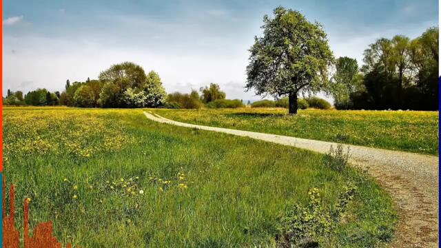 West Village (by Zero to Hero) | LAGU BAND INDIE