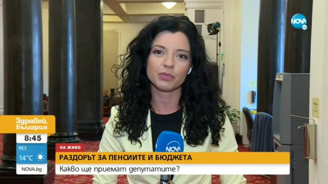 Станев: Когато мисля за Дончева, си представям прасенцето касичка на българската корупционна схема
