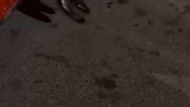 Muro Nalet Olsun İçimdeki İnsan Sevgisine Movie 2008  English Subtitles $5.00