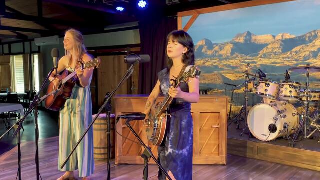 Field of Flowers - Always Evergreen Live