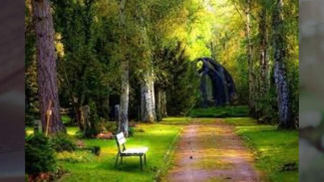 Kẻ ở miền xa-Sáo trúc