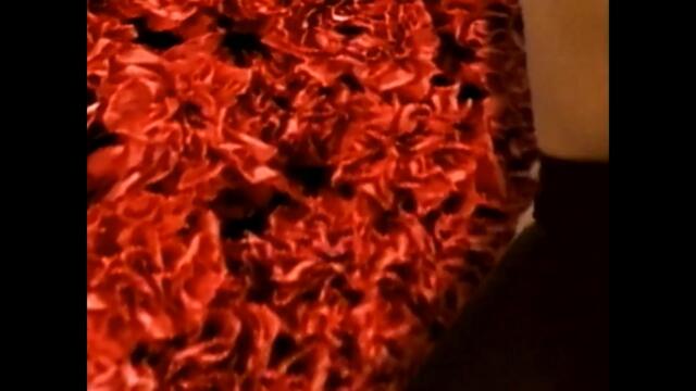 me edito en La Macalacachimba con Furcio bb