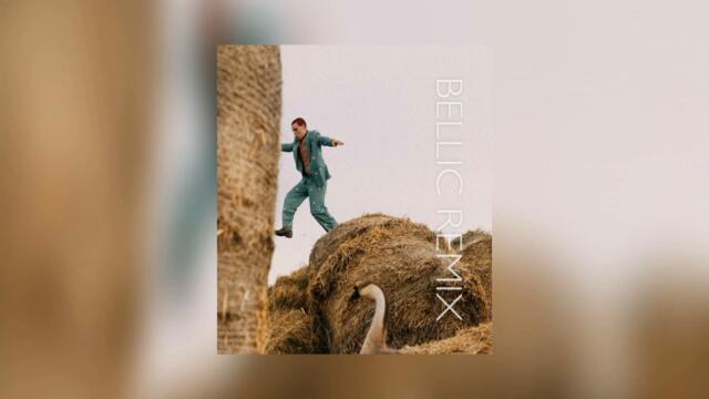 Wellboy - Гуси (BELLIC Remix)