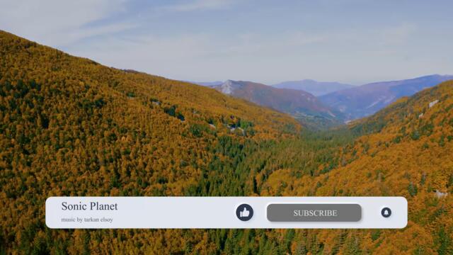 Beautiful Piano, Singing Birds & Water Sound for Sleep, Yoga, Relaxation ➤ Autumn Leaves