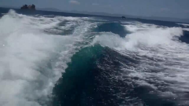 Couple's Amazing Close Encounter with Surfing Killer Whales in Boat Wake