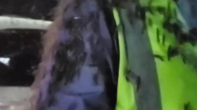 Are These Mayflies Friends or Foes? #Shorts