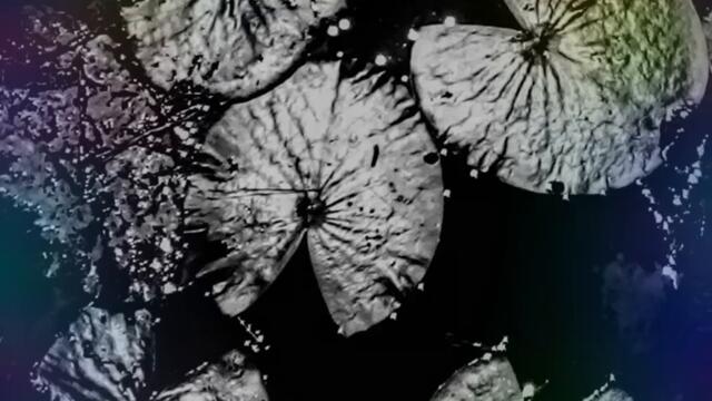 Slow Train to Etoile unmixed rehearsal.