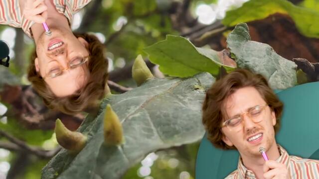 this song is not a metaphor