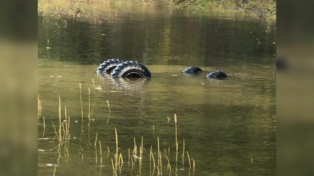 Фото, которые тебя удивят (40 часть)