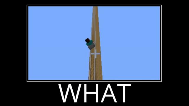 WAIT WHAT (Minecraft) #20