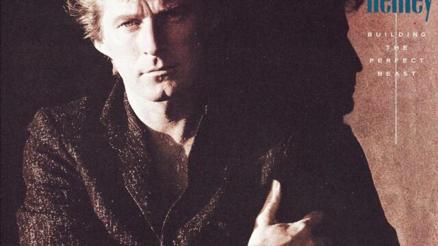 Don Henley Boys of summer lyrics