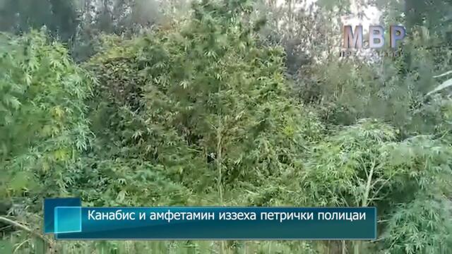Канабис и амфетамин иззеха петрички полицаи