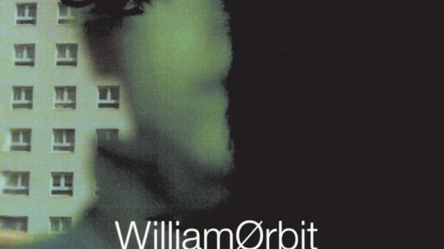 Water From A Vine Leaf