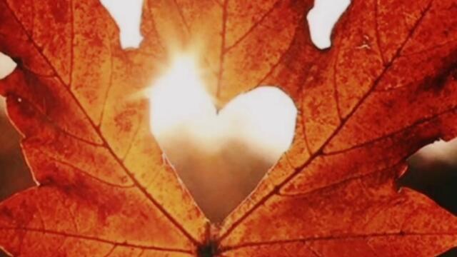 Ритуал на деньги в полнолуние| #shorts