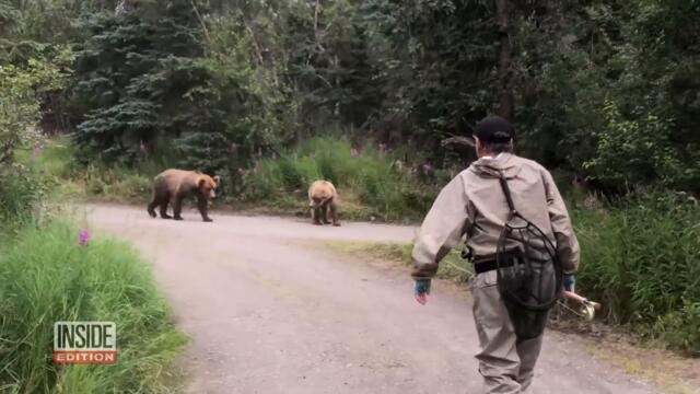 What Happens When Animals ‘Break the Law'?