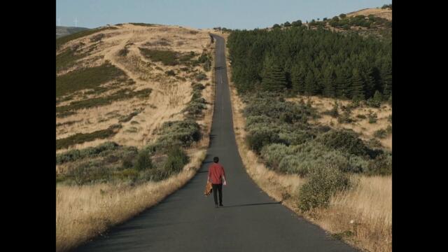 toubkal - the wolves