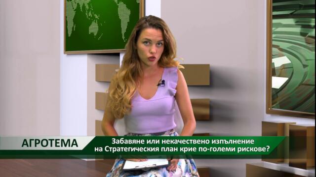 Агротема: Забавяне или некачествено изпълнение на Стратегическия план крие по-големи рискове?