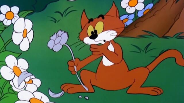 GARGAMEL TURNS INTO STONE! • Full Episode • The Smurfs