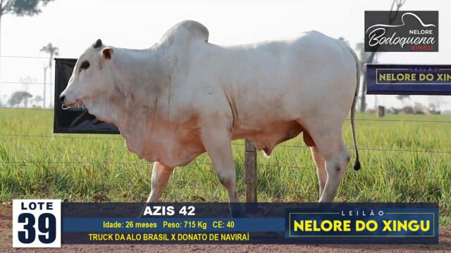 LOTE 39   AZIS 42