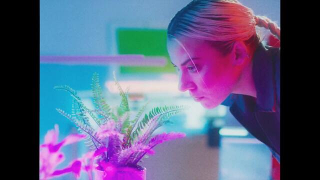 NRVS - I Like You (Official Video)