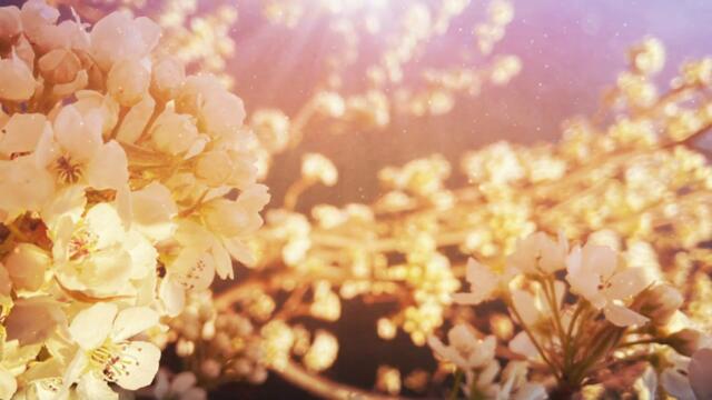 Николай Колев - Планета Земя