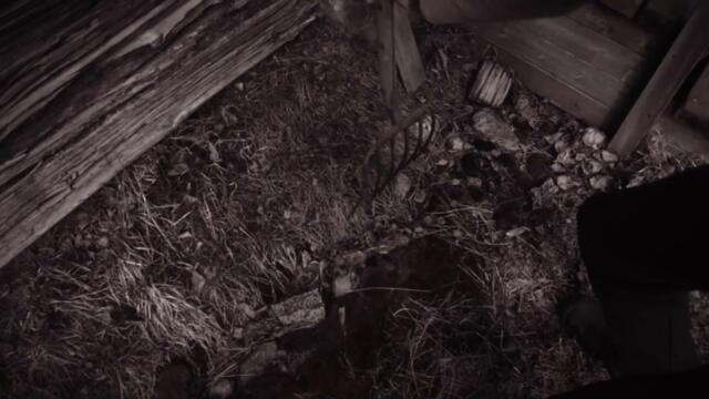 Ereb Altor - Vargtimman (Official Video)