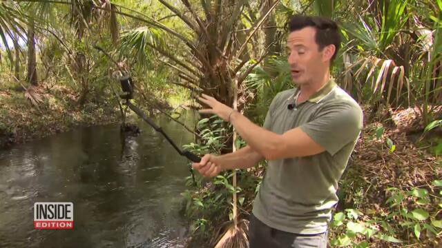 Can Gabby Petito's Fiancé Survive Florida’s Swamp Conditions?