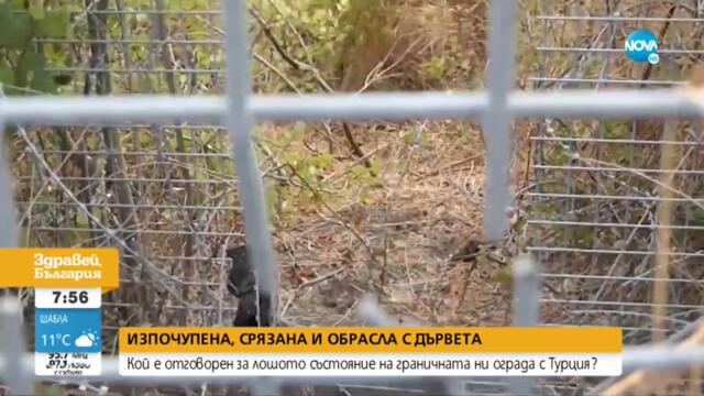 Мажд Алгафари: Оградата по границата с Турция трябва да бъде изградена наново - Здравей, България