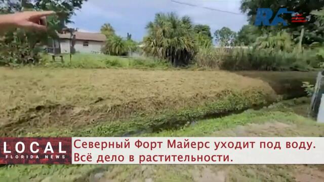 Ковидные похороны. Кладбища битком / Курица в кляре блокировала целый город / Сериал о Ки-Уэсте