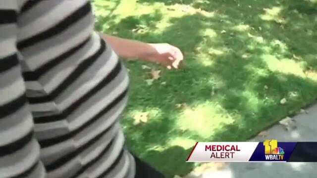 Pregnant women could face complications from COVID-19