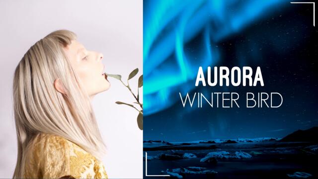 AURORA - Winter Bird remix/reharmonization ( Prog/fusion ) by Vicarious