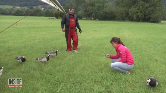 Visually Impaired Woman Flies With Flock of Geese