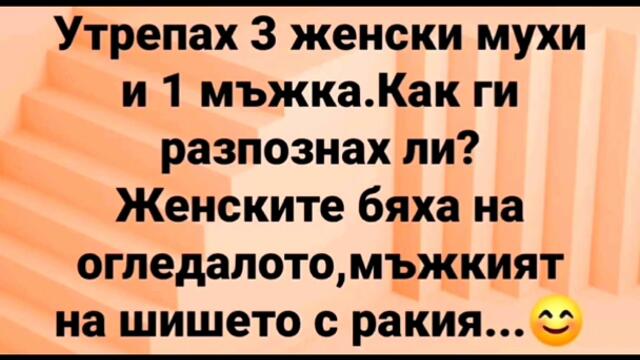 Вицове,скечове,смях Част 4