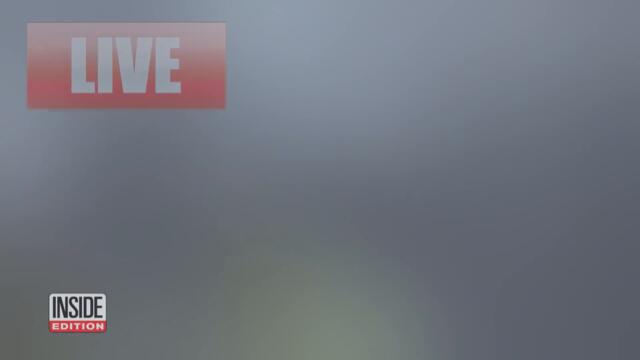 Brian Laundrie’s Instagram Account Mysteriously Goes Live