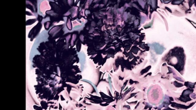 Pink Playground-Dark Bloom